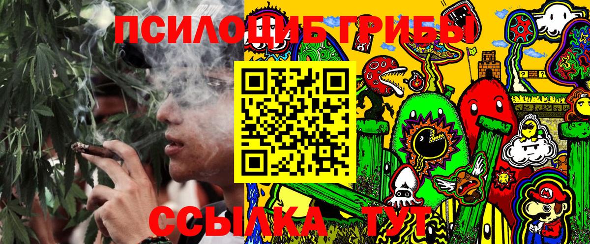 Курганинск  Галлюциногенные грибы мицелий  Вход с VPN 