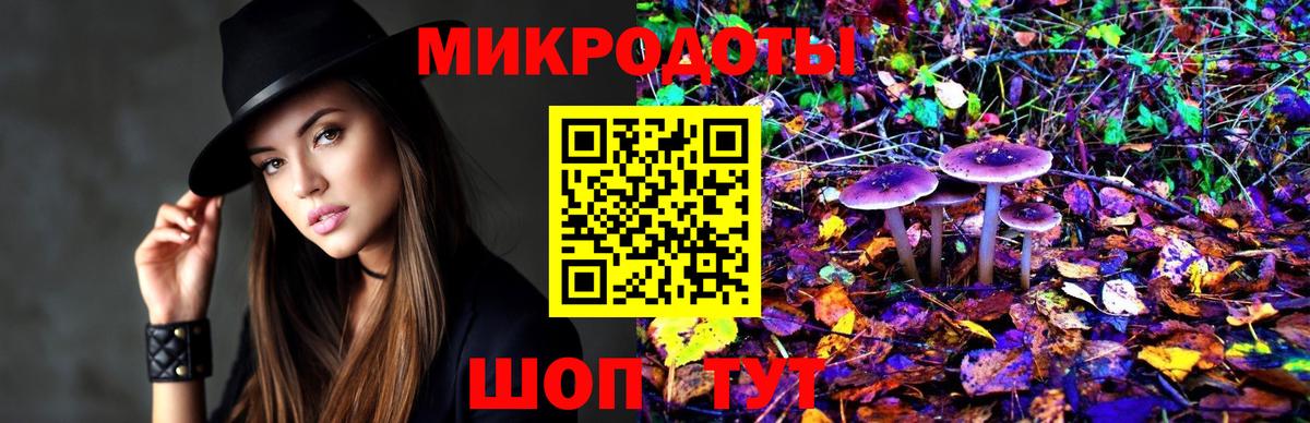 купить наркотики цена  Курганинск  Галлюциногенные грибы Magic Shrooms  Псилоцибиновые грибы прущие грибы 